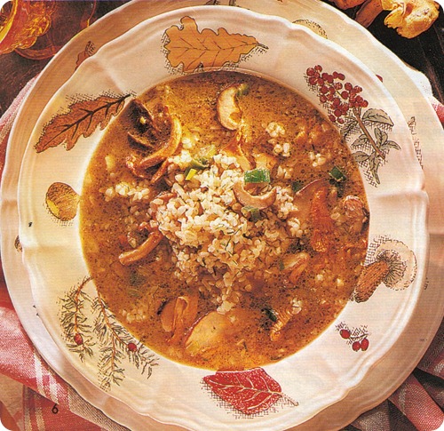 Minestra di funghi e grano zpezzato