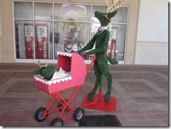 IMG_1610 IMG_1610