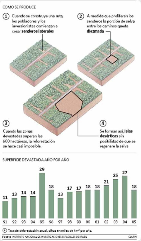 Amazonas infografia1 Amazonas infografia1