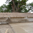 P1060160.JPG