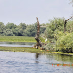 DSCN3018.JPG