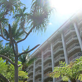 Our Room from a Distance