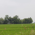 IMG_8808.JPG