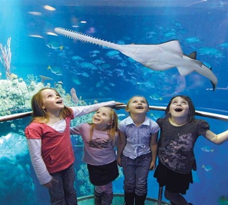 A Family Vacation With Your Little Ones Near Westminster London Hotels-AS