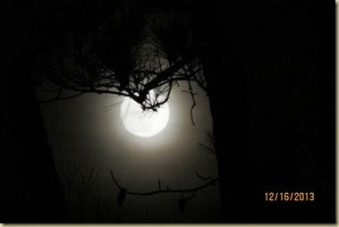 moon moon