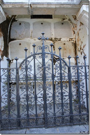 IMG_3232 IMG_3232