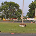 DSC_7026.JPG