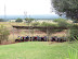 South Africa Day 1 - On Safari