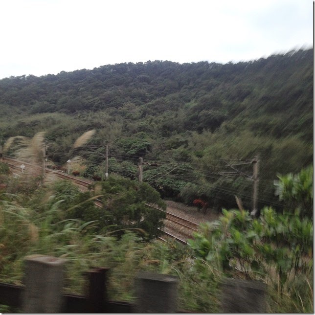 2015貢寮路跑-舊草嶺環狀線意外抱走5K第三名 IMG_8499