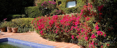 casa-lago-en-la-pena-10.jpg