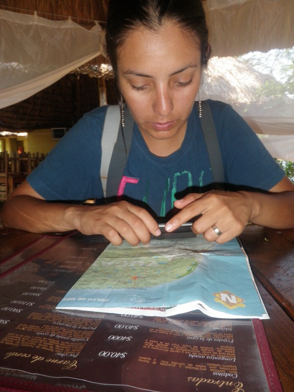 [P50602203.jpg]
