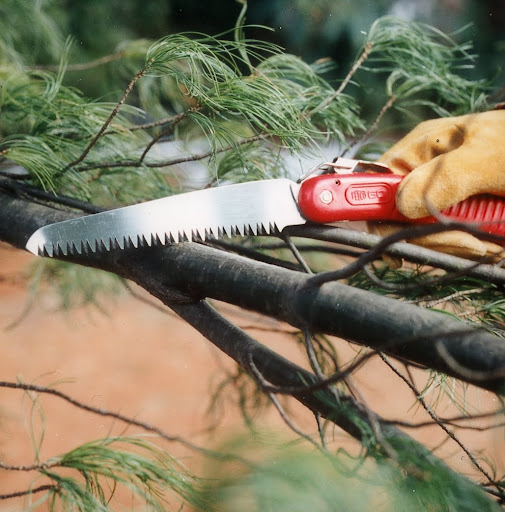 For pruning small branches... Here are two different techniques for removing smaller branches. For a natural effect, angle the cut to follow the slope of another branch.