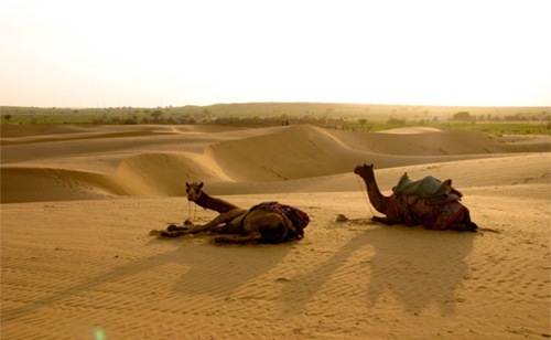 deserto-di-thar-jaisalmer