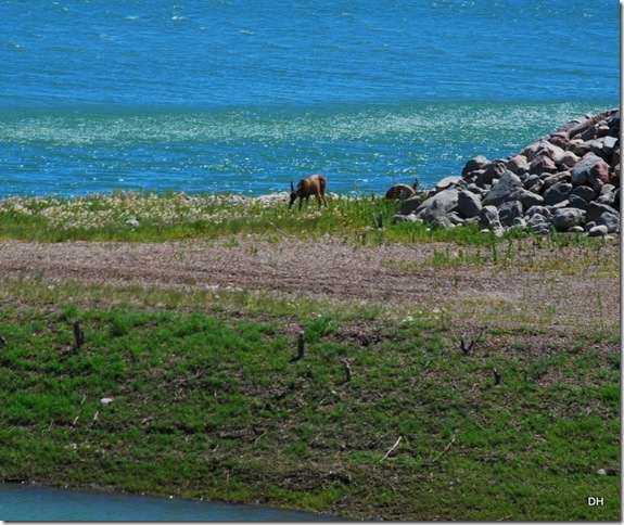062713 B Fort Peck Area (8)a