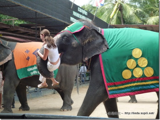 泰國東芭樂園-象鼻舉人
