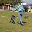 IMG_2856.JPG