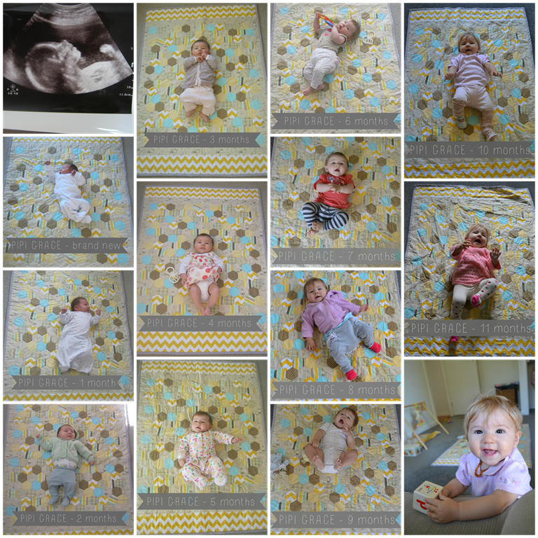 [Pipi%252011%2520months%2520collage%255B4%255D.png]