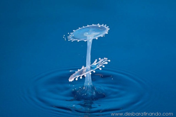 liquid-drop-art-gotas-caindo-foto-velocidade-hora-certa-desbaratinando (41)