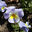 DSC00254.JPG