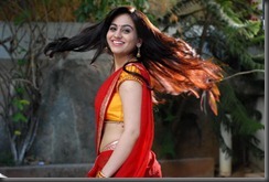 aksha_hot_in_halfsaree_navel_pic