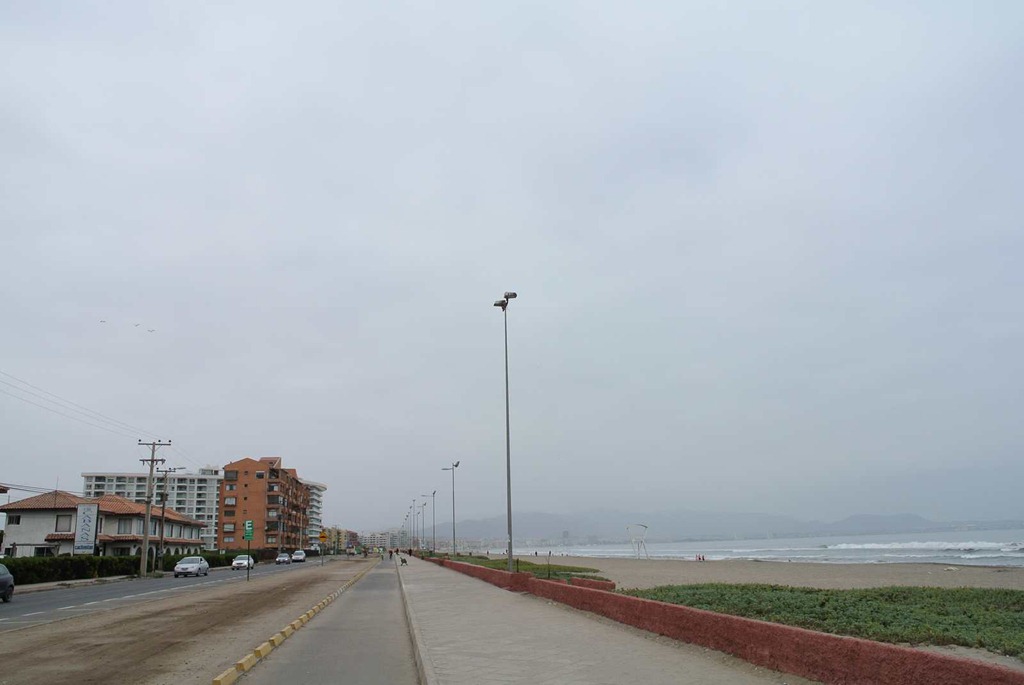 [DSC_83103.jpg]
