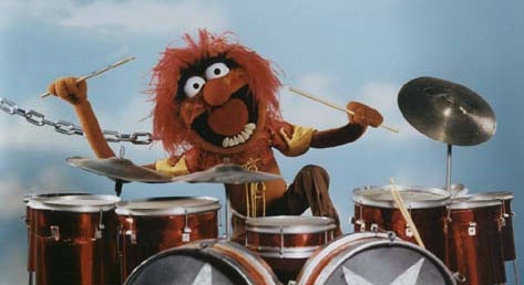 [animal_drums%255B5%255D.jpg]