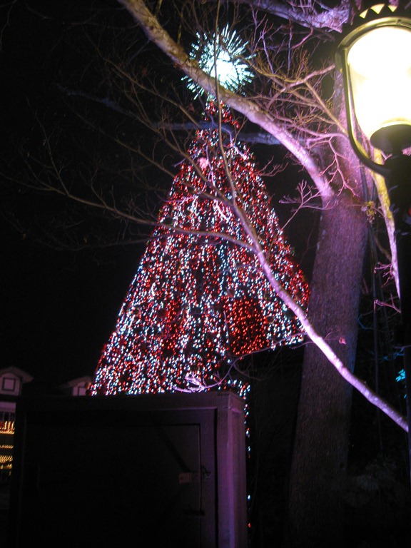 [IMG_5337%255B4%255D.jpg]