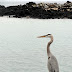 Dsc05260