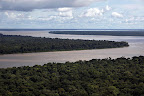 The Amazon rainforest is a major global carbon sink. Its survival is threatened not only by deforestation but by climate change, which could kill trees and thus create feedback loops that increase global warming.
Photograph: Karla Gachet/Greenpeace