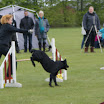DSC00821.JPG