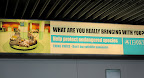 This sign was in the Amsterdam airport- cautioning travelers against taking exotic animals away from their natural habitats.