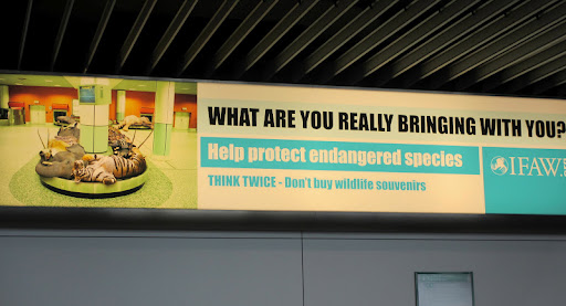 This sign was in the Amsterdam airport- cautioning travelers against taking exotic animals away from their natural habitats.