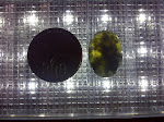 IMG-20111113-017166.jpg