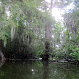 Two OClock Bayou Paddle July 14, 2012 - IMG_0052.JPG