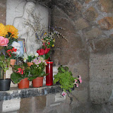 SAM_0371.JPG