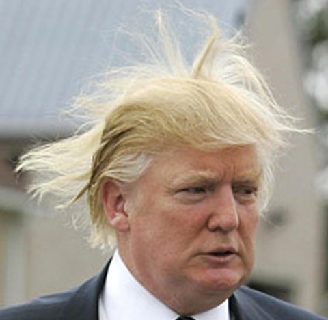 [Trump%2520hair%255B9%255D.jpg]