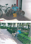 PRINCESA SOFIA una perrita que despues de luchar por por estar viva ahora vive en un hogar lleno de amor