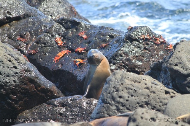 [IMG_9653%255B7%255D.jpg]