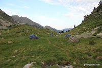 IMG_0845.JPG Photo