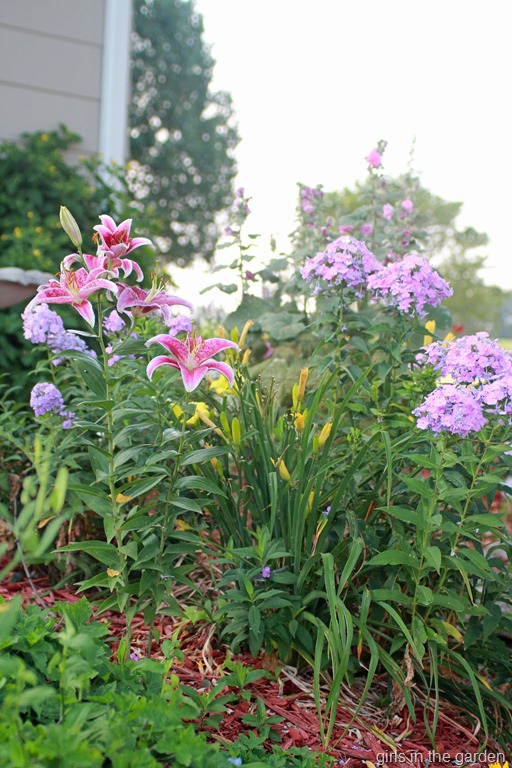 [flowers3%255B10%255D.jpg]