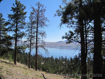 IMG_7116 IMG_7116