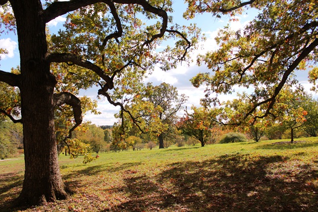 [IMG_0207%255B2%255D.jpg]