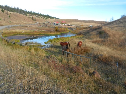 DSCN0440.jpg DSCN0440