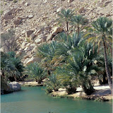 wadi foto album Oman