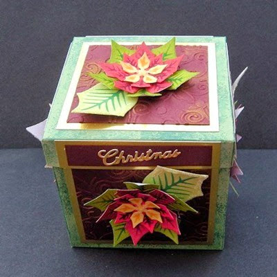 PoinsettiaBox25