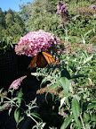 2012-01-24 17.48.03.jpg