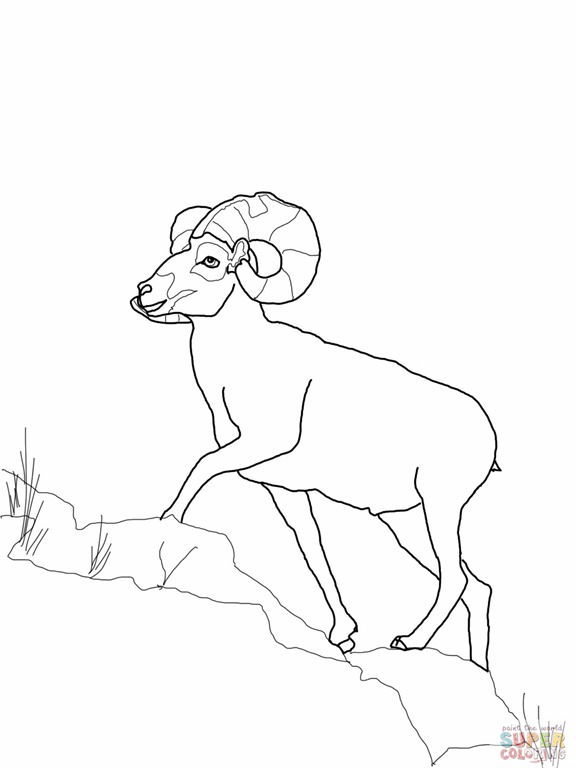 [bighorn-sheep-coloring-page%255B2%255D.jpg]