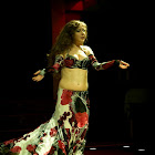 Document Name_3_267.JPG