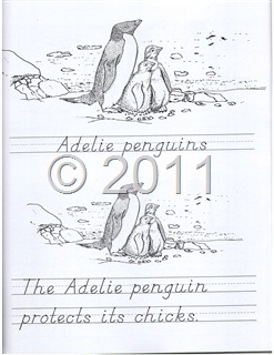 [image%255B11%255D.jpg]
