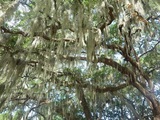P1110979